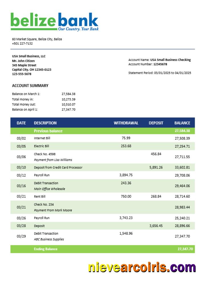 Belizean bank company checking account statement